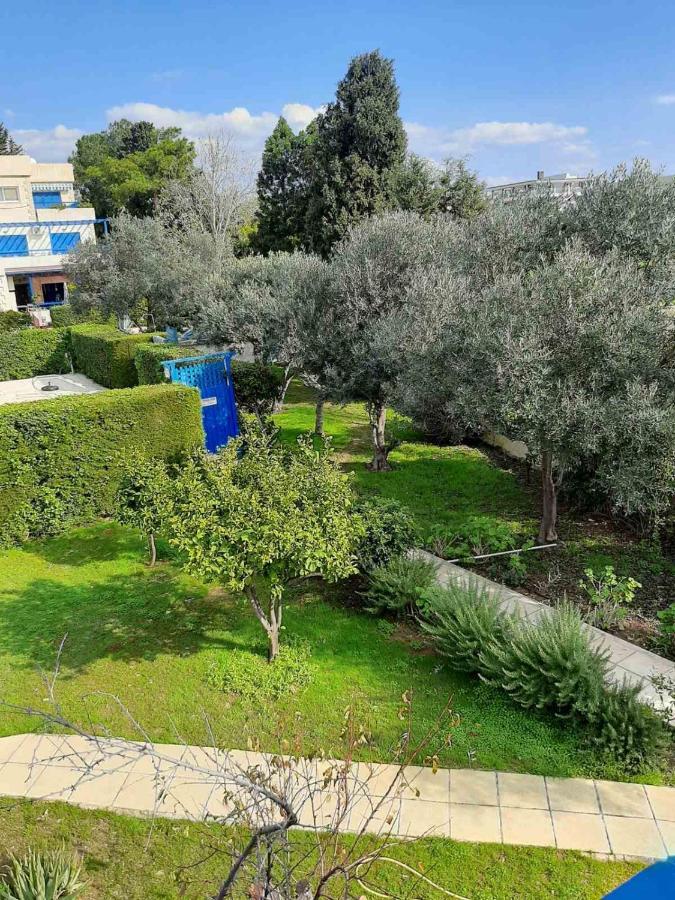 2 Bedroom Apartment-Mediterranean Type Paphos Eksteriør billede
