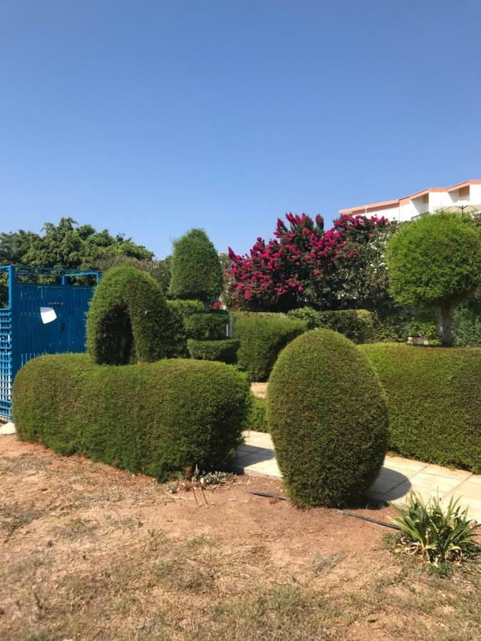 2 Bedroom Apartment-Mediterranean Type Paphos Eksteriør billede